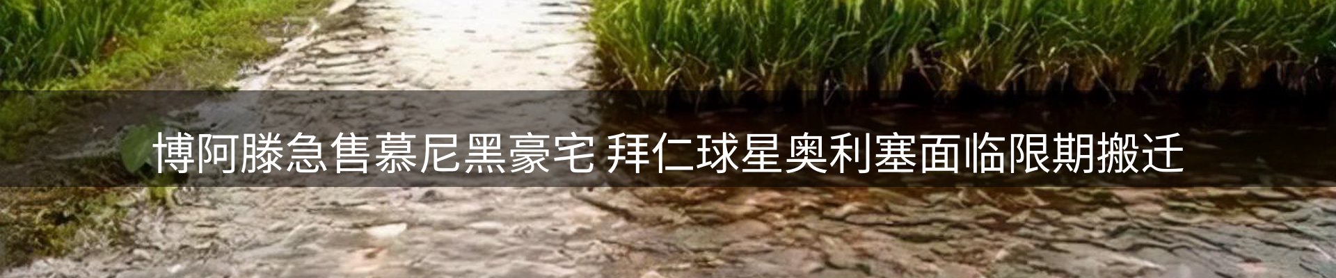 综合资讯