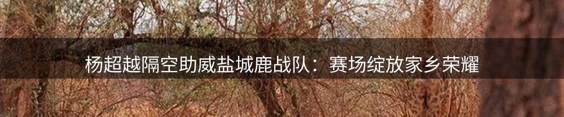 综合资讯