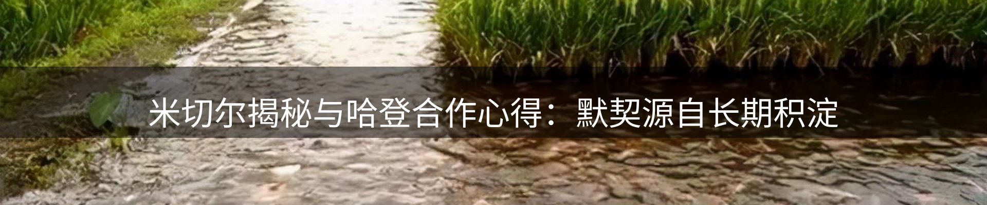 新闻导读