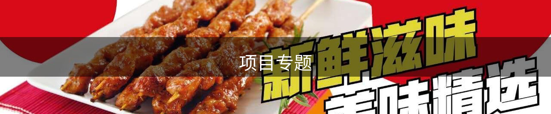 项目专题