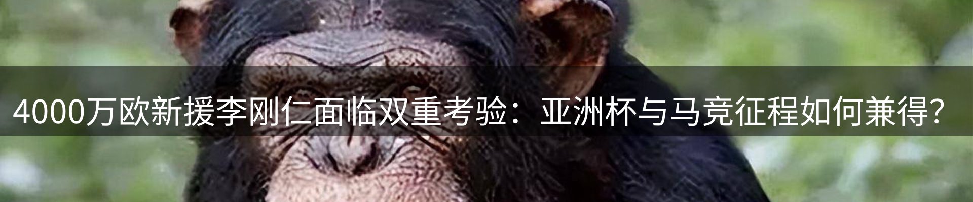 综合资讯